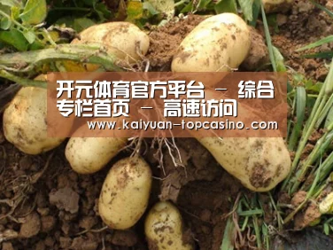 种植基地六