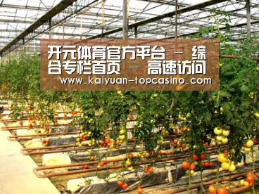 种植基地二(图1)