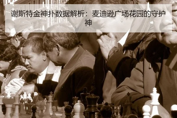 谢斯特金神扑数据解析：麦迪逊广场花园的守护神