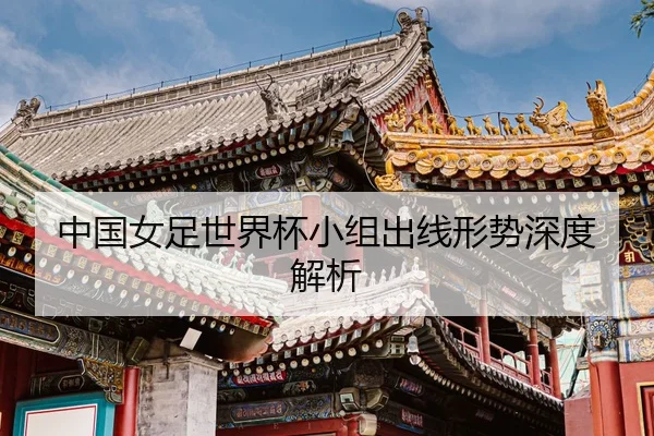 zhong-guo-nv-zu-shi-jie-bei-xiao-zu-chu-xian-xing-shi-shen-du-jie-xi-2-535.jpg