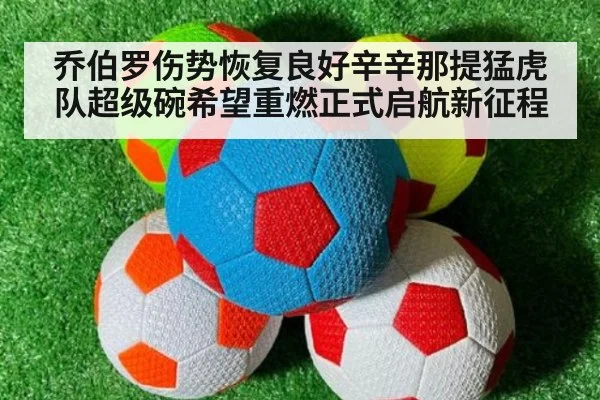 乔伯罗伤势恢复良好辛辛那提猛虎队超级碗希望重燃正式启航新征程